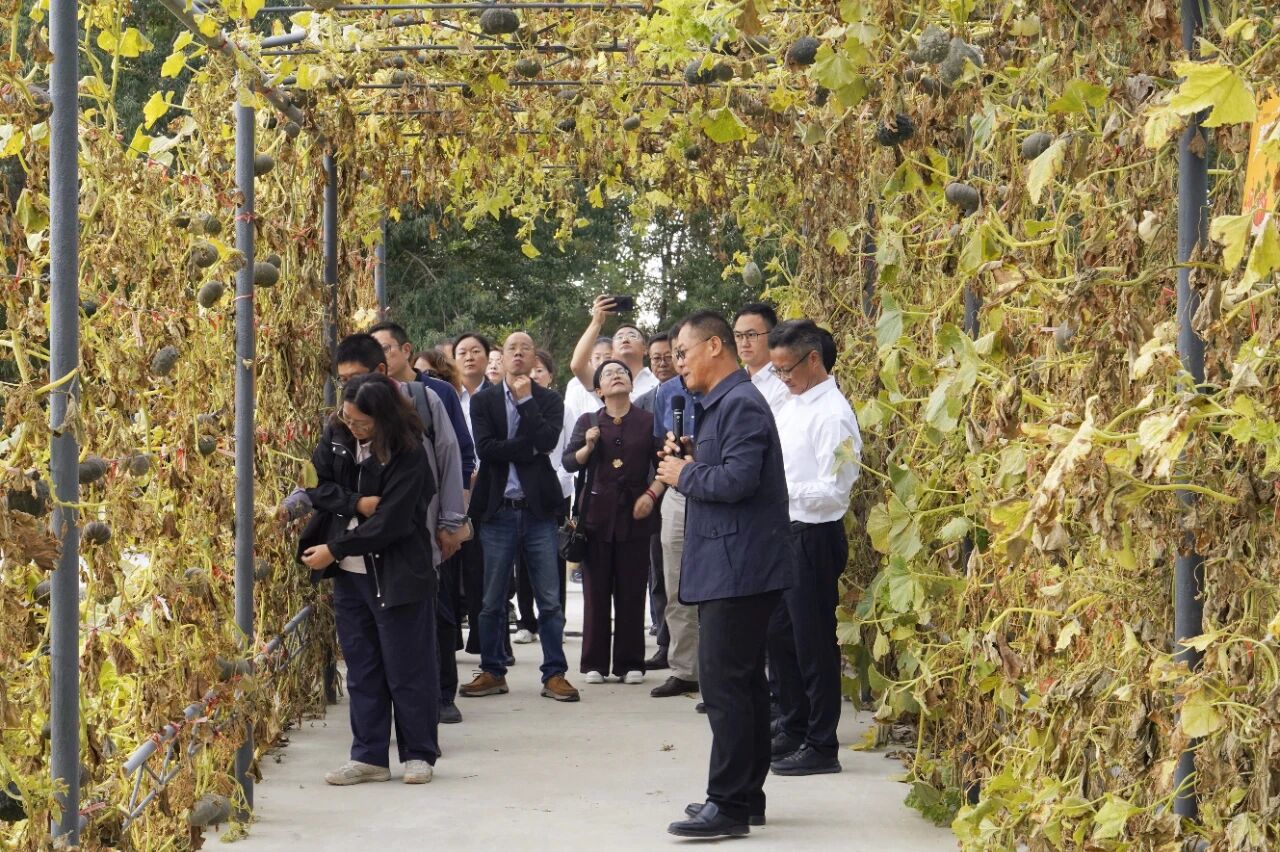 737cdea786a35f7e4ed65ef6dd233d16